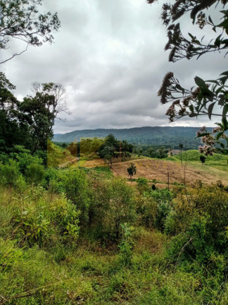 Imagem Fazenda à Venda, 64.288 m² em Barra Avencal - Rio Dos Cedros
