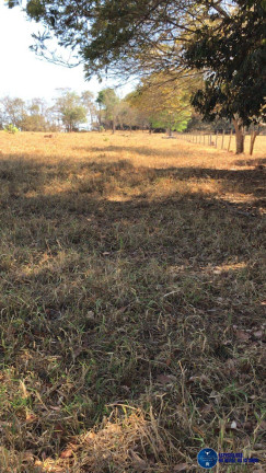 Imagem Chácara à Venda, 1 m² em Zona Rural - Itapuranga Imagem Chácara à Venda, 1 m² em Zona Rural - Itapuranga
