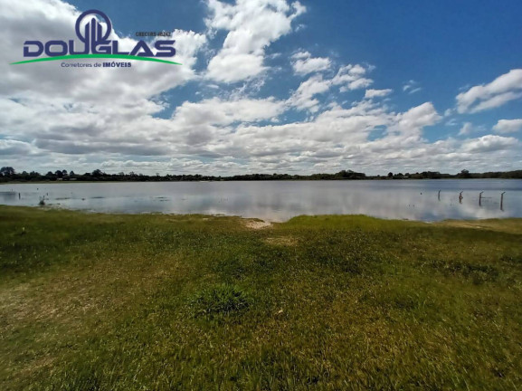 Imagem Casa com 2 Quartos à Venda, 1.200 m² em águas Claras - Viamão
