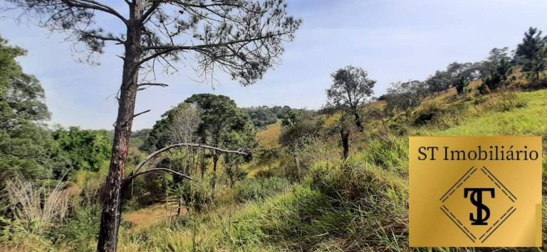 Imagem Chácara com 3 Quartos à Venda, 72.000 m² em Estância Santa Maria Do Portão - Atibaia