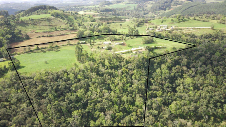 Imagem Imóvel à Venda, 133.000 m² em Rural - Concórdia Imagem Imóvel à Venda, 133.000 m² em Rural - Concórdia