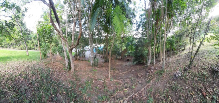 Imagem Chácara com 3 Quartos à Venda, 250 m² em Vargem Pequena - Florianópolis