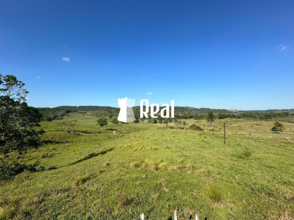 Imagem Fazenda à Venda, 1.300.000 m² em Centro - Mata De São João