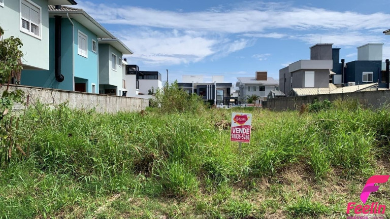 Imagem Terreno à Venda, 450 m² em Ribeirão Da Ilha - Florianópolis Imagem Terreno à Venda, 450 m² em Ribeirão Da Ilha - Florianópolis