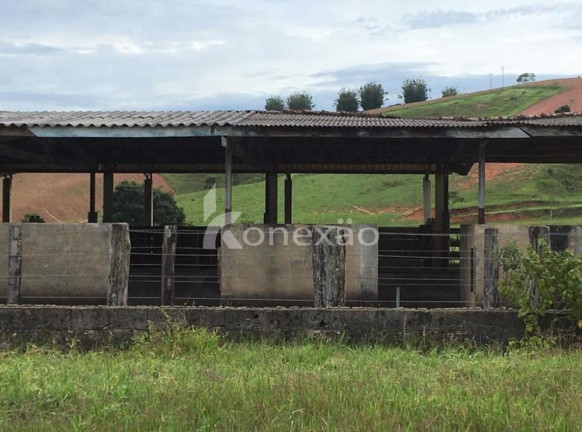 Imagem Fazenda à Venda, 400 m² em Jardim Prado - Santa Branca Imagem Fazenda à Venda, 400 m² em Jardim Prado - Santa Branca