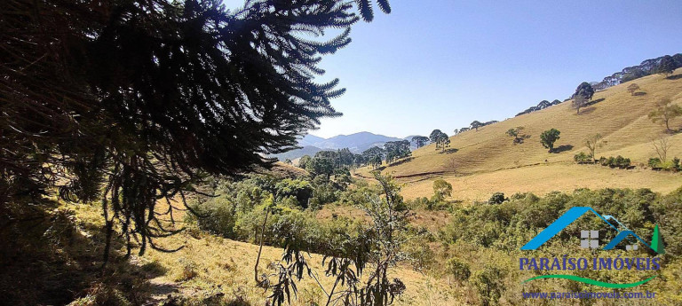 Imagem Chácara à Venda, 20 m² em Centro - Gonçalves