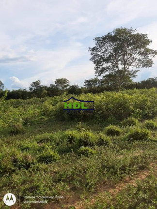Imagem Fazenda à Venda, 318 m² em Zona Rural - Araguaiana