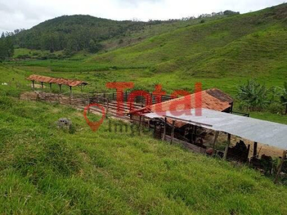 Imagem Chácara com 3 Quartos à Venda, 280 m² em Sn - São Domingos Do Prata