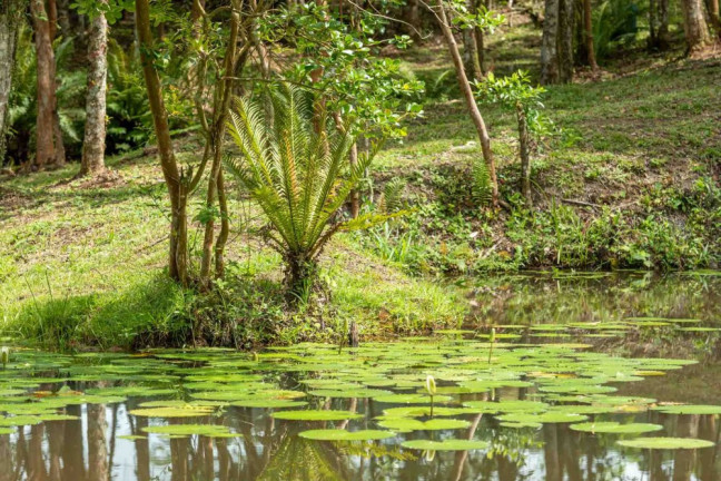Imagem Imóvel à Venda, 111 m² em Rio Do Meio - Camboriú Imagem Imóvel à Venda, 111 m² em Rio Do Meio - Camboriú