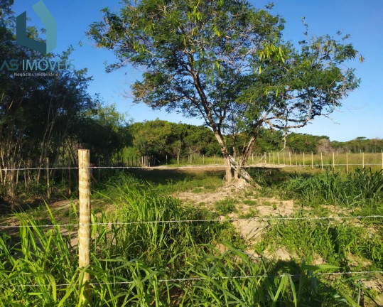 Imagem Terreno à Venda, 1.000 m² em Praia Rasa ( Marina) - Armação Dos Búzios Imagem Terreno à Venda, 1.000 m² em Praia Rasa ( Marina) - Armação Dos Búzios