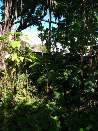 Imagem Terreno à Venda, 240 m² em Taboão - São Bernardo Do Campo