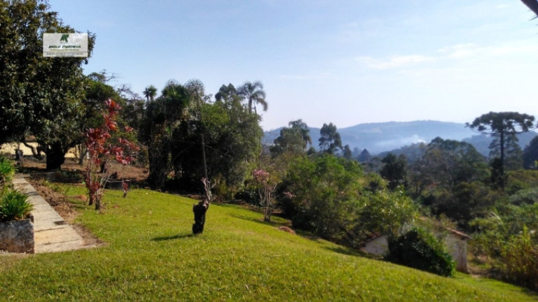 Imagem Chácara com 3 Quartos à Venda, 50.000 m² em Alto Da Serra - São Roque Imagem Chácara com 3 Quartos à Venda, 50.000 m² em Alto Da Serra - São Roque