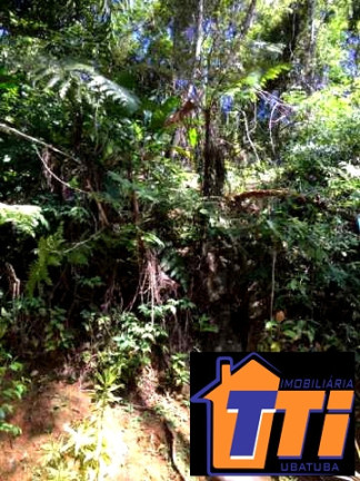 Imagem Terreno à Venda, 1.010 m² em Toninhas - Ubatuba Imagem Terreno à Venda, 1.010 m² em Toninhas - Ubatuba