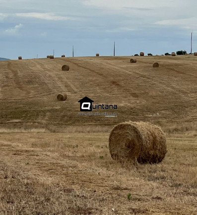 Imagem Imóvel para Alugar, 5.500.000 m² em Centro - Encruzilhada Do Sul Imagem Imóvel para Alugar, 5.500.000 m² em Centro - Encruzilhada Do Sul