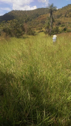 Imagem Imóvel à Venda,  em Região Central Do Tocantins - Pedro Afonso