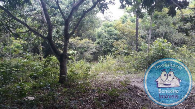 Imagem Terreno à Venda, 1 m² em Trancoso - Porto Seguro Imagem Terreno à Venda, 1 m² em Trancoso - Porto Seguro
