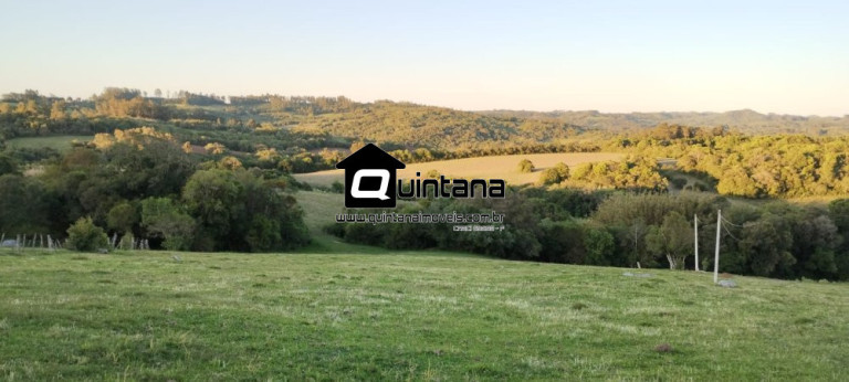 Imagem Imóvel com 1 Quarto à Venda, 230.000 m² em Santo Amor - Morro Redondo Imagem Imóvel com 1 Quarto à Venda, 230.000 m² em Santo Amor - Morro Redondo
