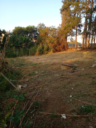 Imagem Imóvel à Venda, 5.000 m² em Vila Aparecida - Suzano