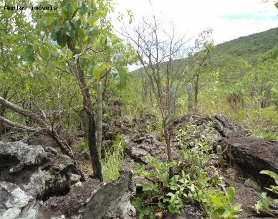 Imagem Fazenda à Venda, 164 m² em Monjolos área Rural - Monjolos
