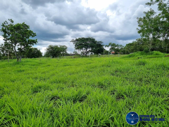 Imagem Chácara à Venda, 2 m² em Zona Rural - Santa Cruz De Goiás Imagem Chácara à Venda, 2 m² em Zona Rural - Santa Cruz De Goiás