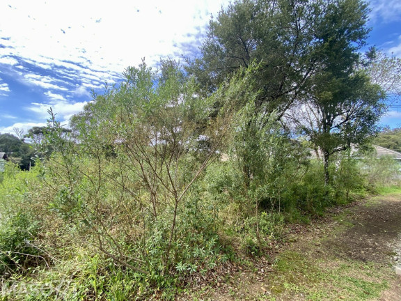 Imagem Terreno à Venda, 450 m² em Avenida Central - Gramado Imagem Terreno à Venda, 450 m² em Avenida Central - Gramado