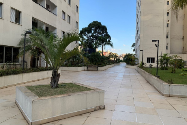Imagem Apartamento com 3 Quartos à Venda, 73 m² em Freguesia Do ó - São Paulo