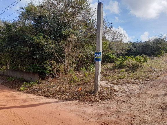 Imagem Terreno à Venda, 6.000 m² em Tibau Do Sul Imagem Terreno à Venda, 6.000 m² em Tibau Do Sul