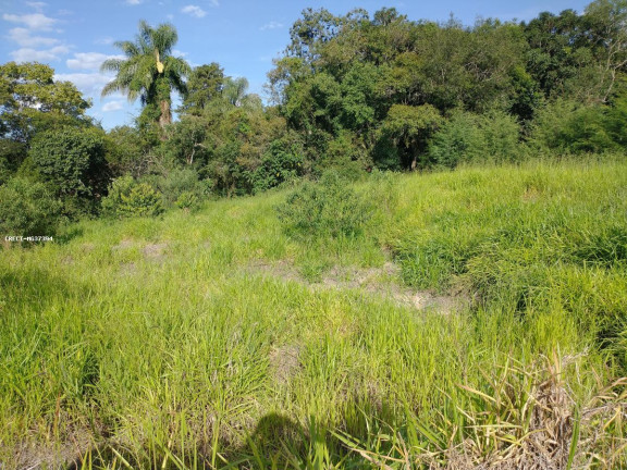 Imagem Chácara à Venda, 1.000 m² em Rio Verde - Caldas Imagem Chácara à Venda, 1.000 m² em Rio Verde - Caldas