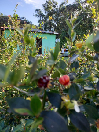 Imagem Casa com 2 Quartos à Venda, 8.000 m² em Itapuã - Viamão Imagem Casa com 2 Quartos à Venda, 8.000 m² em Itapuã - Viamão
