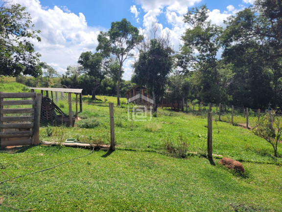 Imagem Imóvel com 4 Quartos à Venda, 200 m² em Comunidade Ribeirão Pequeno - Divisa Nova Imagem Imóvel com 4 Quartos à Venda, 200 m² em Comunidade Ribeirão Pequeno - Divisa Nova