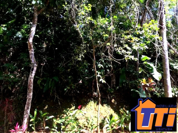 Imagem Terreno à Venda, 1.010 m² em Toninhas - Ubatuba Imagem Terreno à Venda, 1.010 m² em Toninhas - Ubatuba