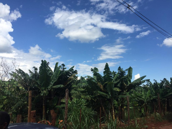 Imagem Chácara à Venda, 4 m² em Rural - Avaré Imagem Chácara à Venda, 4 m² em Rural - Avaré
