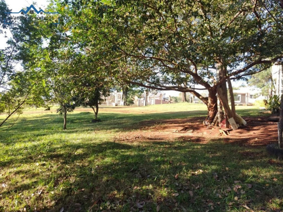 Imagem Imóvel com 3 Quartos à Venda, 29.000 m² em Tres Lagoas Imagem Imóvel com 3 Quartos à Venda, 29.000 m² em Tres Lagoas