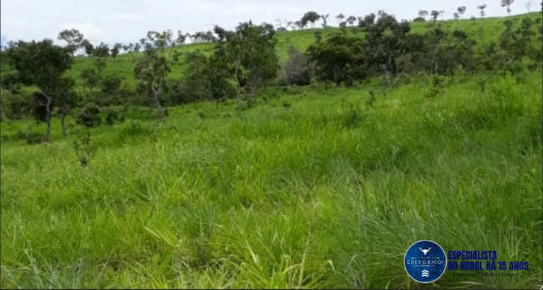 Imagem Fazenda à Venda, 209 m² em Zona Rural - Doverlândia Imagem Fazenda à Venda, 209 m² em Zona Rural - Doverlândia