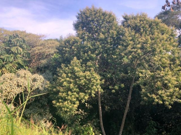 Imagem Terreno à Venda, 674 m² em Chácara Moinho Velho - Carapicuíba Imagem Terreno à Venda, 674 m² em Chácara Moinho Velho - Carapicuíba