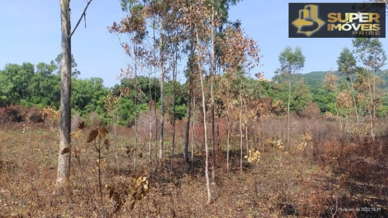 Imagem Imóvel com 4 Quartos à Venda, 2.600.000 m² em Centro - Canguçu
