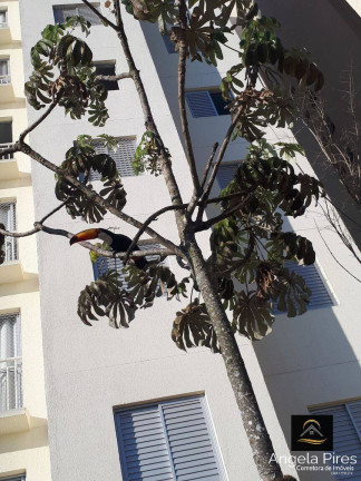 Imagem Apartamento com 2 Quartos à Venda, 43 m² em Jaraguá - São Paulo