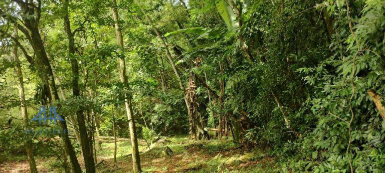 Imagem Terreno à Venda, 471 m² em Córrego Grande - Florianópolis