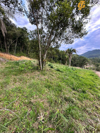 Imagem Terreno à Venda, 1.950 m² em Rio Do Meio - Camboriú Imagem Terreno à Venda, 1.950 m² em Rio Do Meio - Camboriú