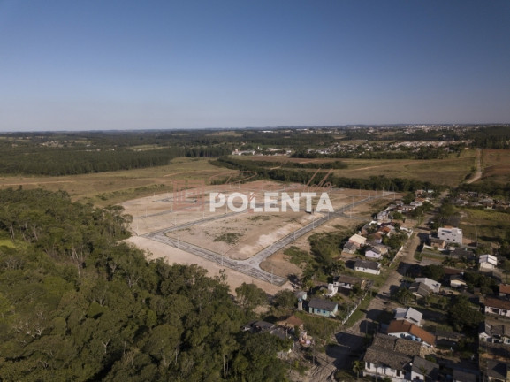 Imagem Terreno à Venda, 360 m² em Buenos Aires - Criciúma Imagem Terreno à Venda, 360 m² em Buenos Aires - Criciúma