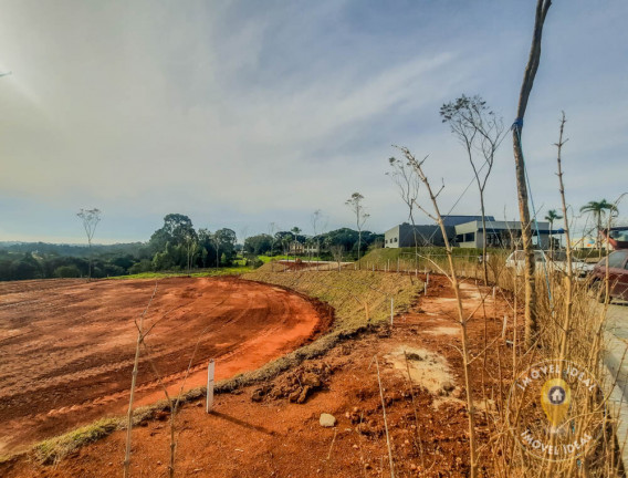 Imagem Terreno à Venda, 200 m² em Querência - Viamão
