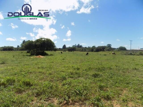 Imagem Terreno à Venda, 1.100 m² em águas Claras - Viamão