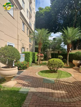 Imagem Apartamento com 2 Quartos para Alugar, 50 m² em Lauzane Paulista - São Paulo Imagem Apartamento com 2 Quartos para Alugar, 50 m² em Lauzane Paulista - São Paulo