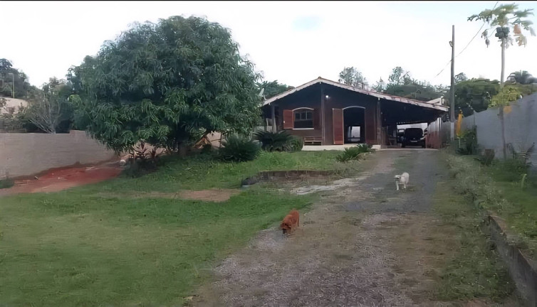 Imagem Chácara com 2 Quartos à Venda, 800 m² em Pedregulho - São João Da Boa Vista Imagem Chácara com 2 Quartos à Venda, 800 m² em Pedregulho - São João Da Boa Vista