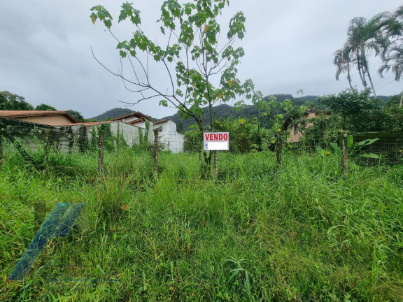Imagem Terreno à Venda, 450 m² em Ressaca - Ubatuba Imagem Terreno à Venda, 450 m² em Ressaca - Ubatuba