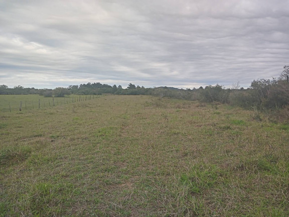 Imagem Chácara com 2 Quartos à Venda, 20.000 m² em águas Claras - Viamão