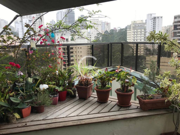 Imagem Apartamento com 3 Quartos à Venda, 197 m² em Vila Andrade - São Paulo Imagem Apartamento com 3 Quartos à Venda, 197 m² em Vila Andrade - São Paulo