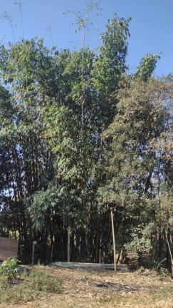 Imagem Terreno à Venda, 24 m² em Residencial Jardim Perolla Ii - Itupeva