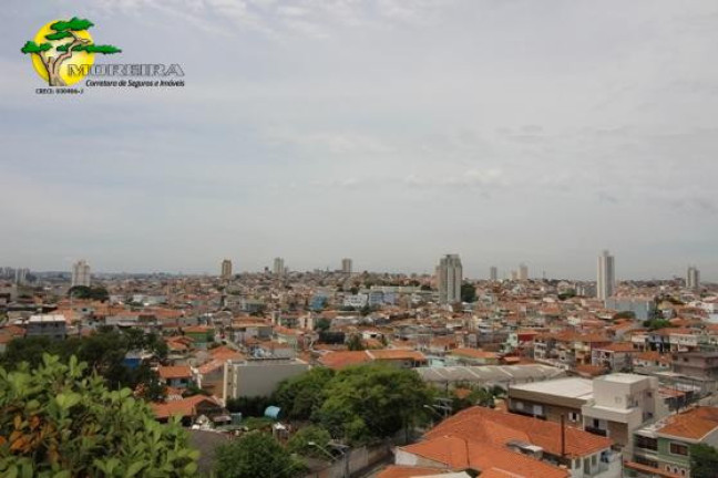 Imagem Apartamento com 3 Quartos à Venda, 67 m² em São Paulo