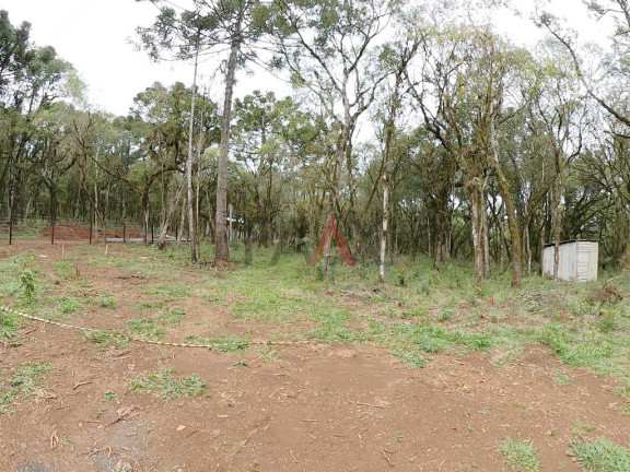 Imagem Fazenda à Venda, 20.000 m² em Jordão - Guarapuava Imagem Fazenda à Venda, 20.000 m² em Jordão - Guarapuava